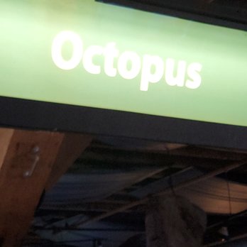 Seattle Aquarium - Octopus section - Aquariums Near Me - Seattle, Washington
