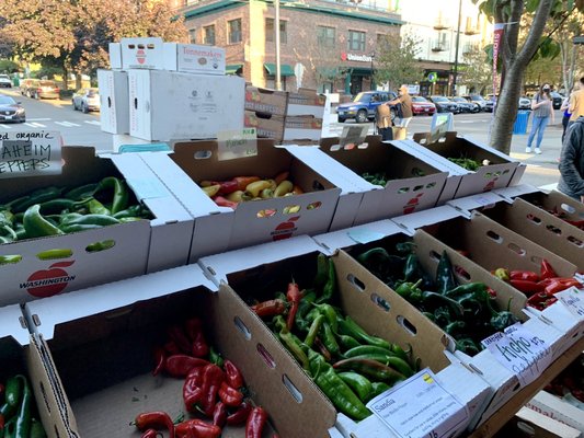 Queen Anne Farmers Market by null