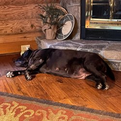 Seymour Veterinary Clinic