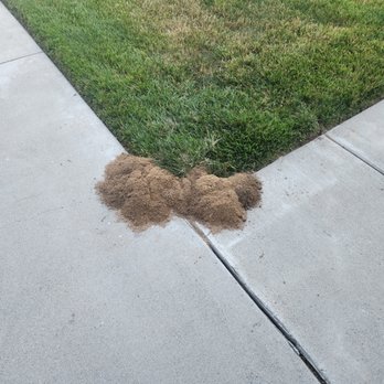 Gopher Stop - Pest Control Near Me