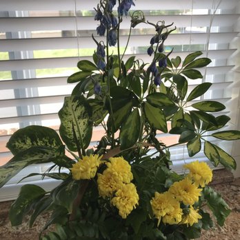 The Flower Company - Delivered Friday afternoon.Now Sunday. Mums and blue flowers (foxglove?) dying already! Not happy! - Florists Near Me - Palm Desert, California The Flower Company - Delivered Friday afternoon.Now Sunday. Mums and blue flowers (foxglove?) dying already! Not happy! - Florists Near Me - Palm Desert, California