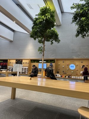 Apple Store Piazza Liberty by null