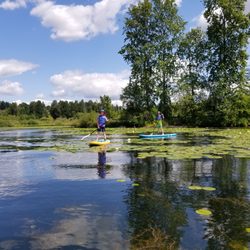 Seattle Paddle - Searching for turtles