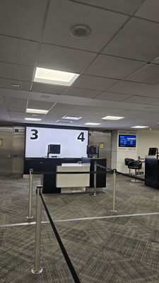 Brooklyn Rebel by null