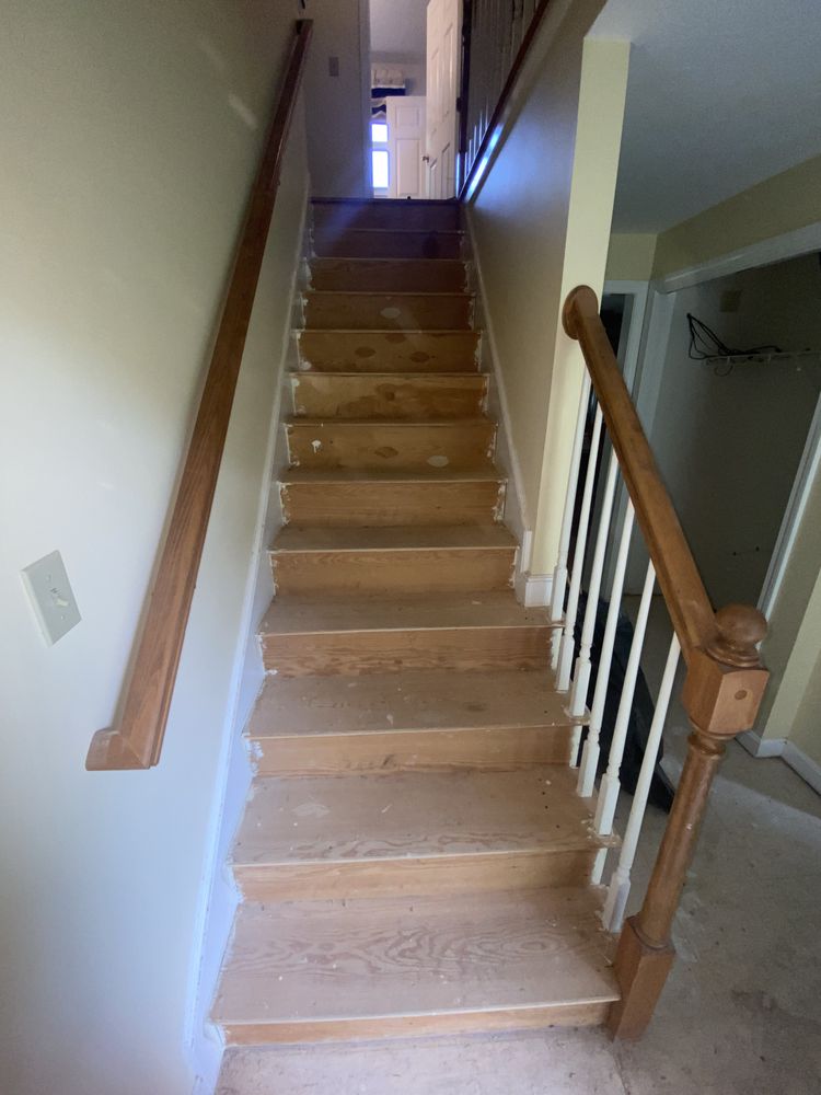 Slide of Pedretti’s Painting