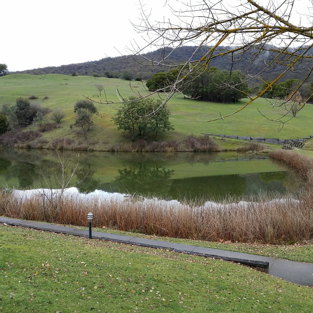 Pinnacle Valley Resort - Paddle boat lake - Hotels Near Me - Merrijig, VIC