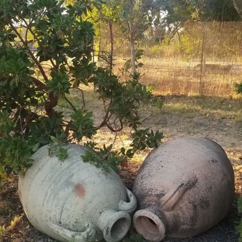 Napa Cellars - Their pretty outdoor decor - Wineries Near Me - Oakville, California