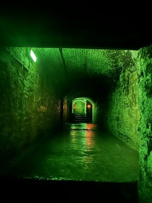 Auld Reekie Tours by null