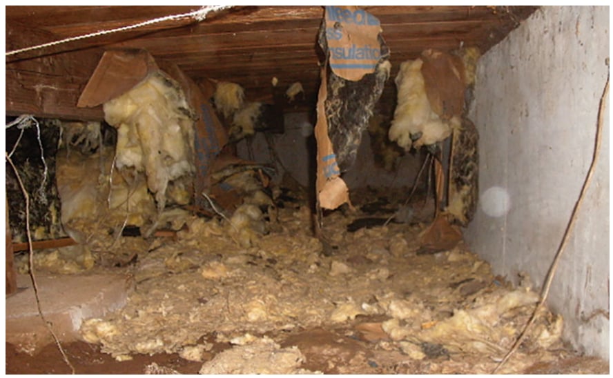 Slide of All Star Restoration