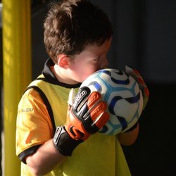 Houston Wolves Soccer Club