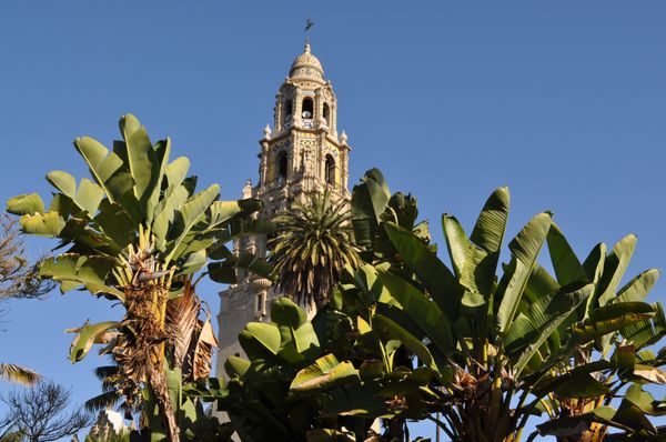 Alcázar Garden by null