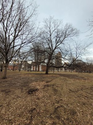 New Haven Green by null