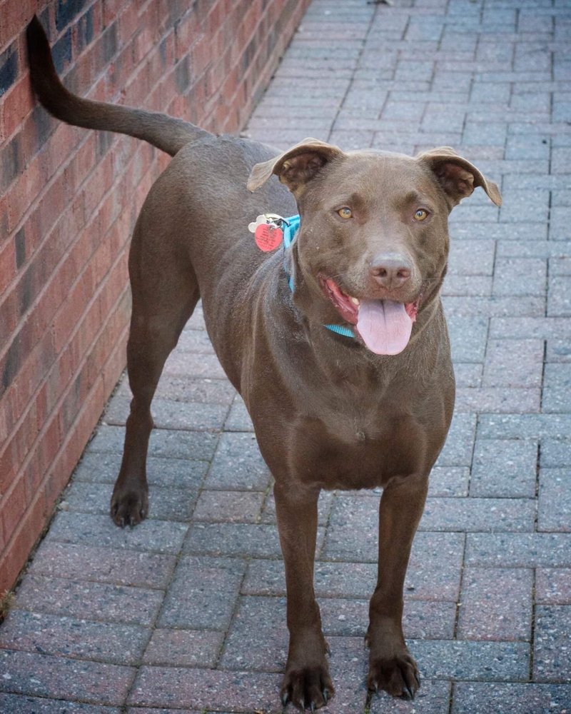 LAFAYETTE LIQUOR STORE 10 Photos & 12 Reviews 311 Edwards Blvd