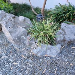 Craggy limestone boulders
