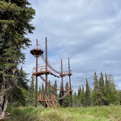 Denali Park Zipline - Rope bridges