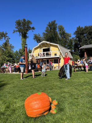 Seattle Farm by null
