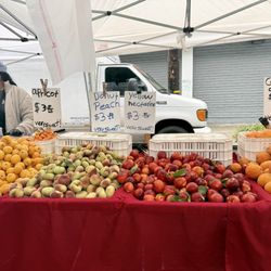 Alameda Farmers' Market - Apricots, white, peaches, yellow, nectarines, and Kara Kara oranges