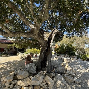 Le Cuvier Winery - Wineries Near Me - Paso Robles, California