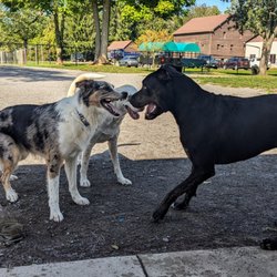 Como Lake Bark Park