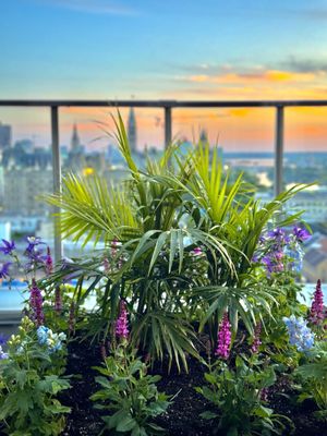 Andaz Ottawa ByWard Market, by Hyatt by null