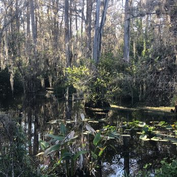 Big Cypress Gallery - Art Galleries Near Me - Ochopee, Florida