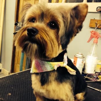 Heritage Kennels - Pet Sitting Near Me - Hanson, Massachusetts Heritage Kennels - Pet Sitting Near Me - Hanson, Massachusetts
