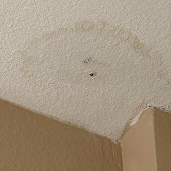 Fogelman Properties - Leak since November 24, 2023 - Property Management Near Me - Memphis, Tennessee Fogelman Properties - Leak since November 24, 2023 - Property Management Near Me - Memphis, Tennessee