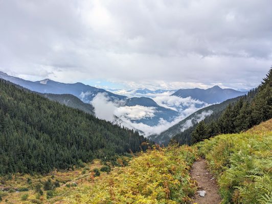 North Cascades National Park by null