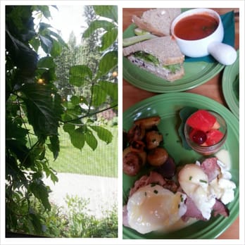 Reader's Garden Cafe - View of the grounds rgt fr our tableside window & their Ham Eggs Benny & Chkn Salad Sandwich served w/their Rustic Tomato Soup. - Cafes Near Me - Calgary, Alberta