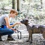 Gentle Touch Pet Care