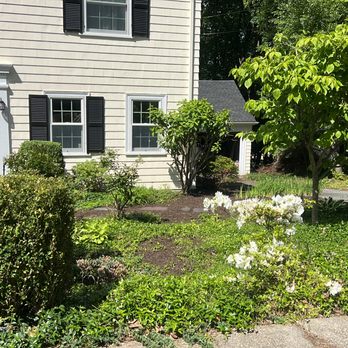 Erick Landscaping - The front yard was also weeded thoroughly and mulched. - The photo depicts a front yard with neatly trimmed bushes, a small flowering tree, and various green plants. A brick pathway runs along the left side, leading to the house entrance with white double doors. The house has beige siding, black shutters, and exterior lighting. The yard is bordered by a driveway and surrounded by trees and greenery, indicating a residential setting. - Snow Removal Near Me