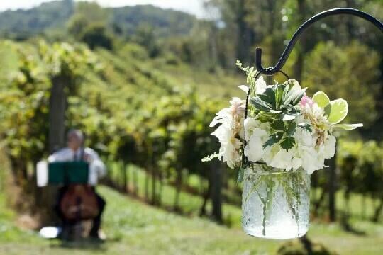 Addison Farms Vineyard by null