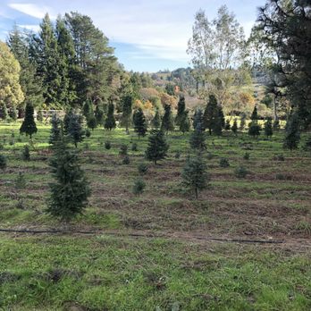 Wallinfarm - Nurseries & Gardening Near Me - Sebastopol, California Wallinfarm - Nurseries & Gardening Near Me - Sebastopol, California