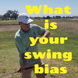 Kris Moe Golf School - Find your swing bias