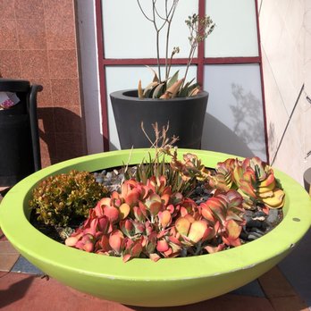 Trader Joe's - 3/13/22 - Grocery Near Me - Cerritos, California