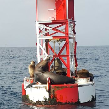 Discovery Cubes Ocean Quest photo 2