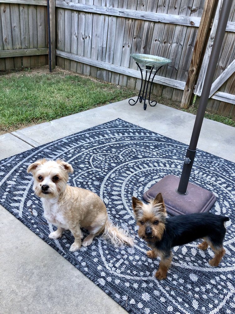 THE GRIFFINDORE DOG RETREAT 125 Mcdonough Pkwy, Mcdonough,