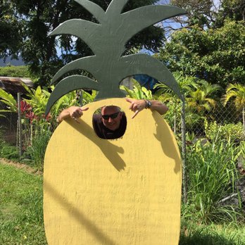 Waikane Fruit Stand - aloha pineapple - Fruits & Veggies Near Me - Kaneohe, Hawaii Waikane Fruit Stand - aloha pineapple - Fruits & Veggies Near Me - Kaneohe, Hawaii