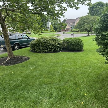 Ruzi's Landscaping - Landscaping Near Me