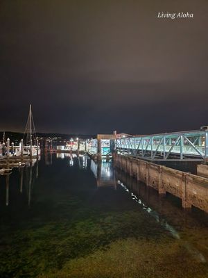Bremerton Ferry Terminal by null