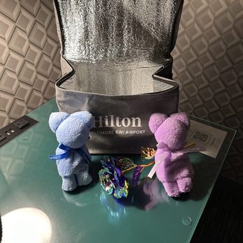 Hilton Baltimore BWI Airport - Gift from the Hilton Staff - Hotels Near Me - Linthicum Heights, Maryland Hilton Baltimore BWI Airport - Gift from the Hilton Staff - Hotels Near Me - Linthicum Heights, Maryland