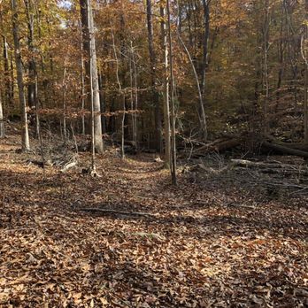 Battle Park - Parks Near Me - Chapel Hill, North Carolina Battle Park - Parks Near Me - Chapel Hill, North Carolina