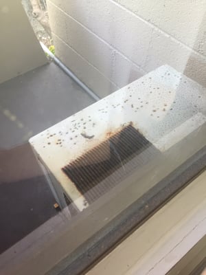 Uncle Billy's Kona Bay Hotel by null