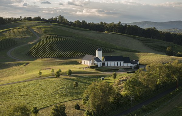 Lost Mountain Vineyards by null