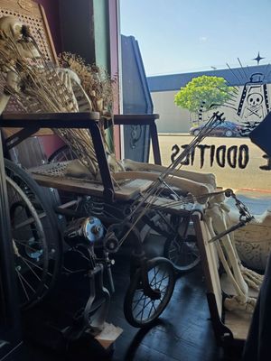 Bearded Lady Vintage & Oddities by null