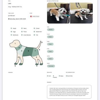 Furologist Dog Spa - Pet Groomers Near Me - San Jose, California