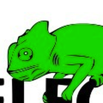 Chameleon Construction - a green chamelon sitting on the word - General Contractors Near Me - Simi Valley, California Chameleon Construction - a green chamelon sitting on the word - General Contractors Near Me - Simi Valley, California
