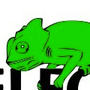Photo of Chameleon Construction