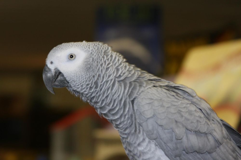 EAST MOLINE FEED MILL Updated October 2024 17 Photos 115 10th St