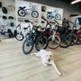 Photo of Pedego Electric Bikes New Smyrna Beach